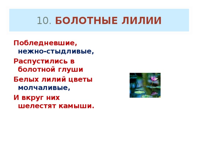 10 . БОЛОТНЫЕ ЛИЛИИ Побледневшие, нежно-стыдливые, Распустились в болотной глуши Белых лилий цветы молчаливые, И вкруг них шелестят камыши.  