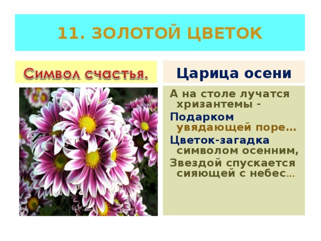 11. ЗОЛОТОЙ ЦВЕТОК Царица осени А на столе лучатся хризантемы - Подарком увядающей поре… Цветок-загадка символом осенним, Звездой спускается сияющей с небес ...  
