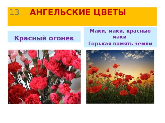 13 . АНГЕЛЬСКИЕ ЦВЕТЫ  Маки, маки, красные маки Горькая память земли Красный огонек 