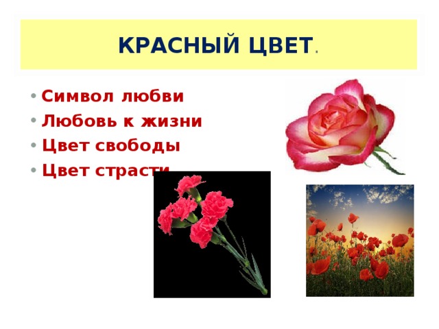 КРАСНЫЙ ЦВЕТ . Символ любви Любовь к жизни Цвет свободы Цвет страсти 