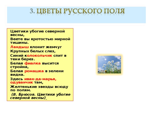 Цветики убогие северной весны, Веете вы кротостью мирной тишины. Ландыш клонит жемчуг Крупных белых слез, Синий к олокольчик спит в тени берез. Белая фиалка высится стройна, Белая ромашка в зелени видна. Здесь иван-да-марья, одуванчик там, Желтенькие звезды всюду по полям.  (В. Брюсов. Цветики убогие северной весны)   