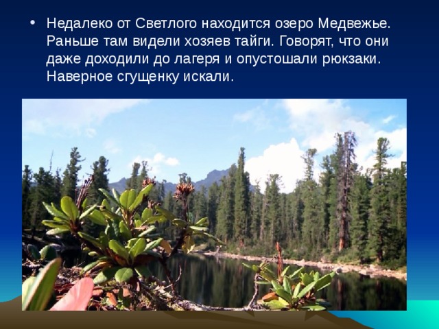 Недалеко от Светлого находится озеро Медвежье. Раньше там видели хозяев тайги. Говорят, что они даже доходили до лагеря и опустошали рюкзаки. Наверное сгущенку искали.    