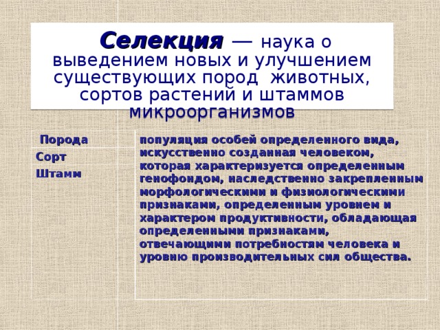  Селекция — наука о выведением новых и улучшением существующих пород животных, сортов растений и штаммов микроорганизмов  Порода С орт  популяция особей определенного вида, искусственно созданная человеком, которая характеризуется определенным генофондом, наследственно закрепленным морфологическими и физиологическими признаками, определенным уровнем и характером продуктивности, обладающая определенными признаками, отвечающими потребностям человека и уровню производительных сил общества. Ш тамм  