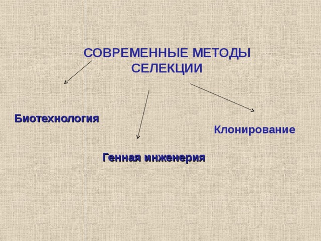 СОВРЕМЕННЫЕ МЕТОДЫ СЕЛЕКЦИИ  Биотехнологи я К лонировани е  Генная инженерия 