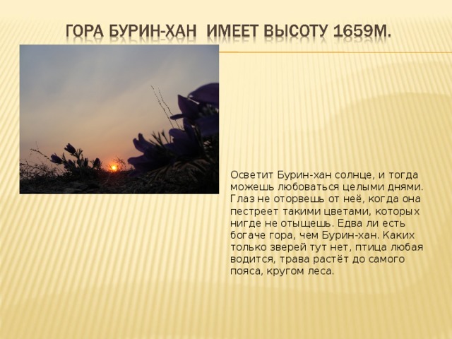 Осветит Бурин-хан солнце, и тогда можешь любоваться целыми днями. Глаз не оторвешь от неё, когда она пестреет такими цветами, которых нигде не отыщешь. Едва ли есть богаче гора, чем Бурин-хан. Каких только зверей тут нет, птица любая водится, трава растёт до самого пояса, кругом леса. 