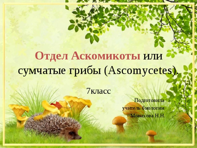 Отдел  Аскомикоты  или сумчатые грибы (Ascomycetes). 7класс Подготовила учитель биологии Монахова Н.Н. 