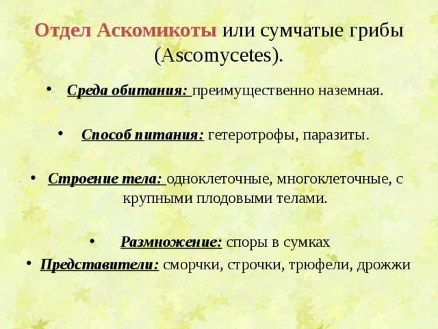Отдел  Аскомикоты  или сумчатые грибы (Ascomycetes). Среда обитания: преимущественно наземная. Способ питания: гетеротрофы, паразиты. Строение тела: одноклеточные, многоклеточные, с крупными плодовыми телами. Размножение: споры в сумках Представители: сморчки, строчки, трюфели, дрожжи 