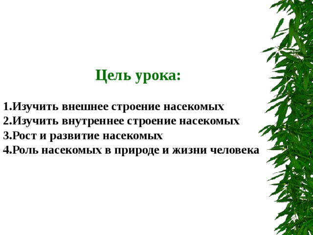      Цель урока: 1.Изучить внешнее строение насекомых 2.Изучить внутреннее строение насекомых 3.Рост и развитие насекомых 4.Роль насекомых в природе и жизни человека 