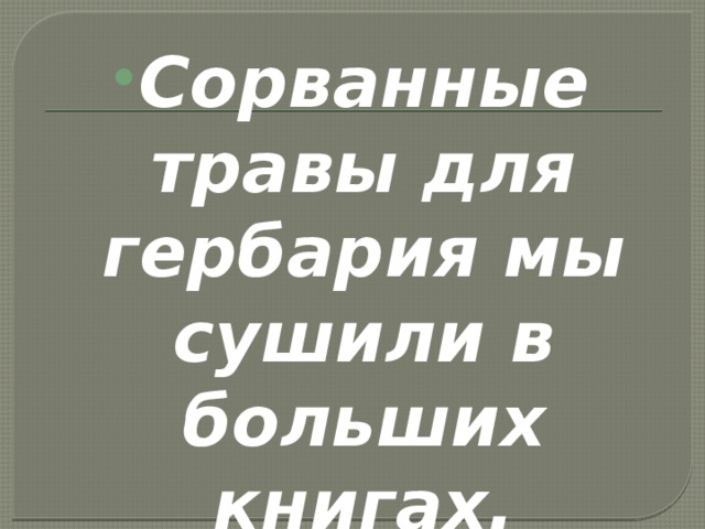 Сорванные травы для гербария мы сушили в больших книгах. 