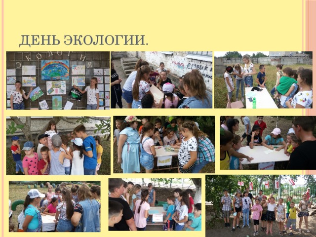 День экологии. 