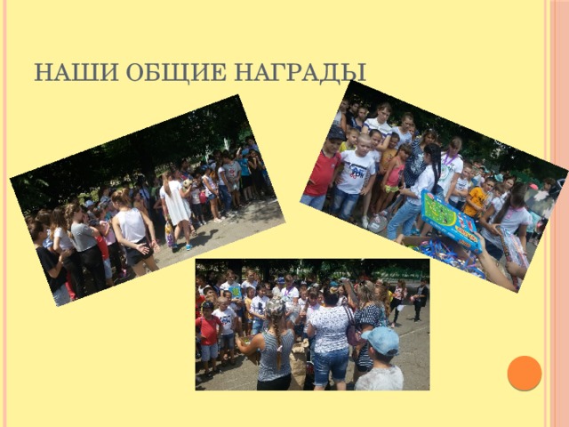 Наши общие награды 