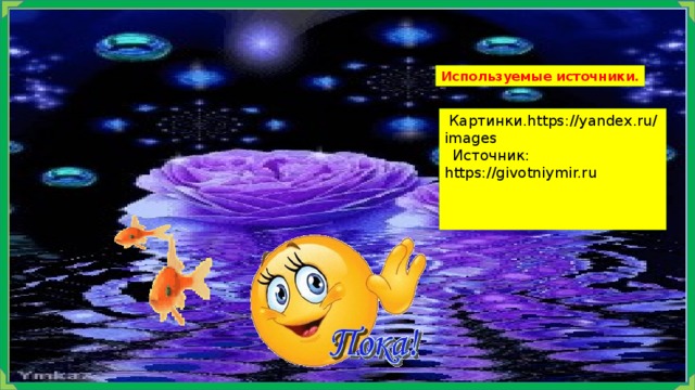 Используемые источники.   Картинки.https://yandex.ru/images   Источник: https://givotniymir.ru 