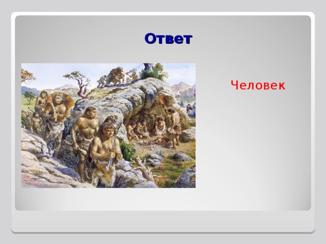 Ответ   Человек 