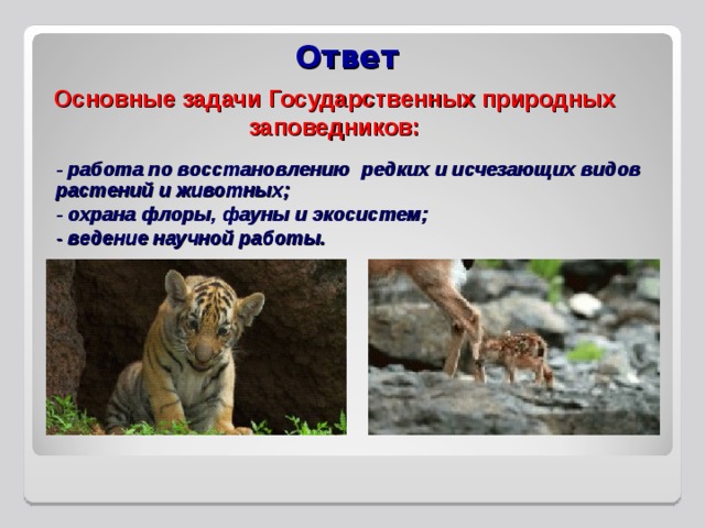 Ответ Основные задачи Государственных природных заповедников: - работа по восстановлению редких и исчезающих видов растений и животных; - охрана флоры, фауны и экосистем; - ведение научной работы. 