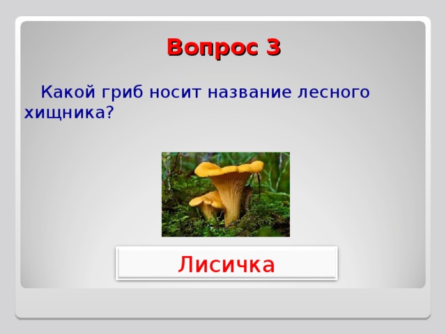 Вопрос 3 Какой гриб носит название лесного хищника? Лисичка 