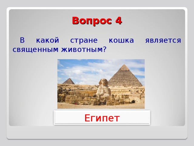 Вопрос 4 В какой стране кошка является священным животным? Египет 