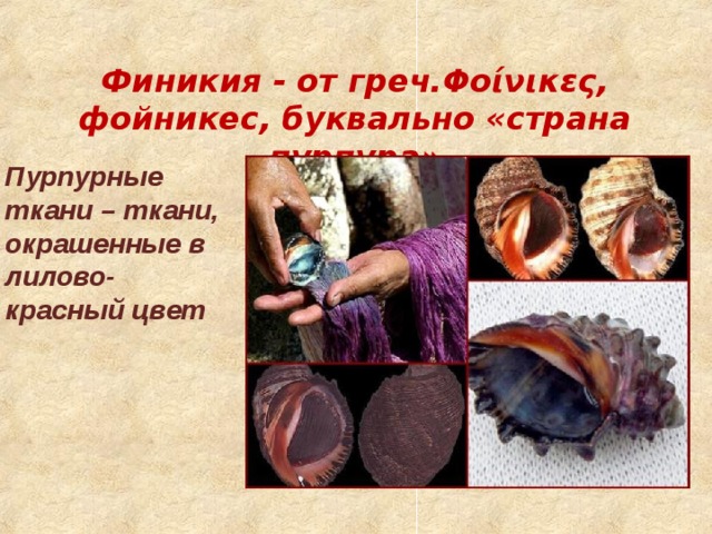 Финикия - от греч.Φοίνικες, фойникес, буквально «страна пурпура» Пурпурные ткани – ткани, окрашенные в лилово-красный цвет 