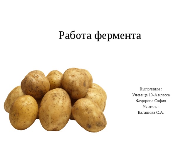  Работа фермента Выполнила : Ученица 10-А класса Федорова София Учитель : Балашова С.А. 