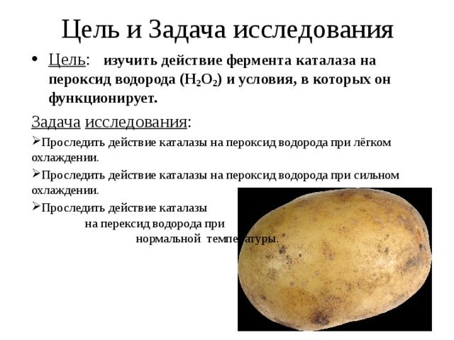 Цель и Задача исследования Цель :   изучить действие фермента каталаза на пероксид водорода (Н 2 О 2 ) и условия, в которых он функционирует. Задача  исследования : Проследить действие каталазы на пероксид водорода при лёгком охлаждении. Проследить действие каталазы на пероксид водорода при сильном охлаждении. Проследить действие каталазы на перексид водорода при нормальной температуры. 