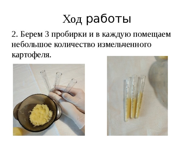 Ход работы 2. Берем 3 пробирки и в каждую помещаем небольшое количество измельченного картофеля. 