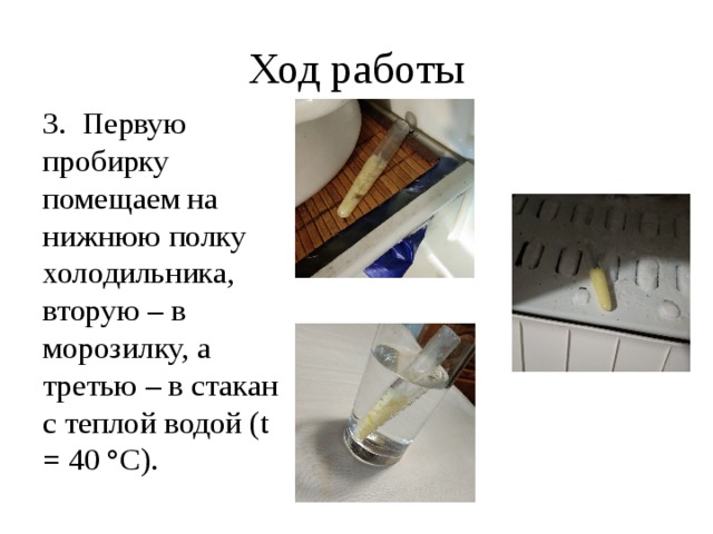 Ход работы 3. Первую пробирку помещаем на нижнюю полку холодильника, вторую – в морозилку, а третью – в стакан с теплой водой (t = 40 °С).  