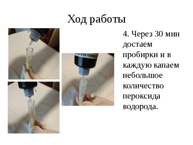 Ход работы 4. Через 30 мин достаем пробирки и в каждую капаем небольшое количество пероксида водорода.  