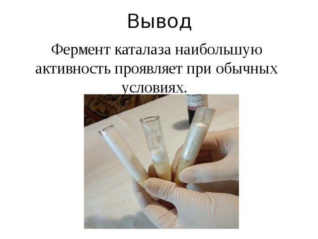 Вывод Фермент каталаза наибольшую активность проявляет при обычных условиях. 