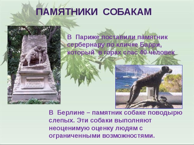 Памятники собакам В Париже поставили памятник сербернару по кличке Барри, который в горах спас 40 человек В Берлине – памятник собаке поводырю слепых. Эти собаки выполняют неоценимую оценку людям с ограниченными возможностями. 
