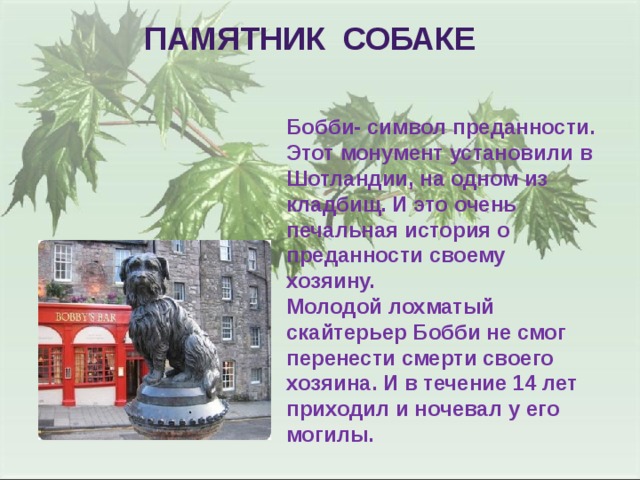 Памятник собаке Бобби- символ преданности. Этот монумент установили в Шотландии, на одном из кладбищ. И это очень печальная история о преданности своему хозяину. Молодой лохматый скайтерьер Бобби не смог перенести смерти своего хозяина. И в течение 14 лет приходил и ночевал у его могилы. 