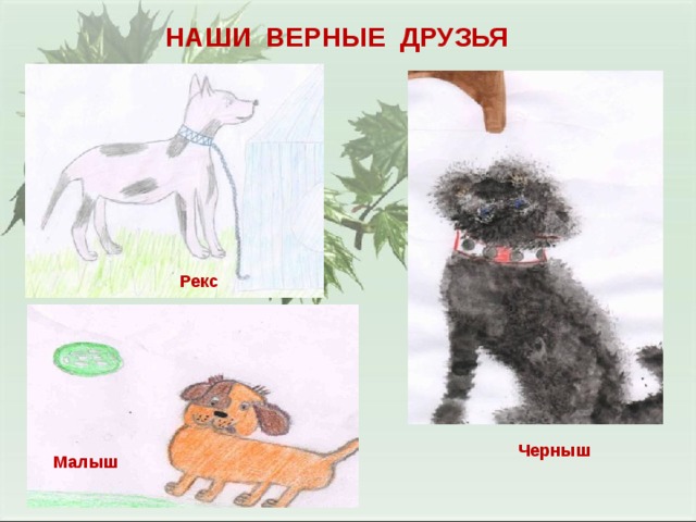  НАШИ ВЕРНЫЕ ДРУЗЬЯ Рекс Черныш Малыш 