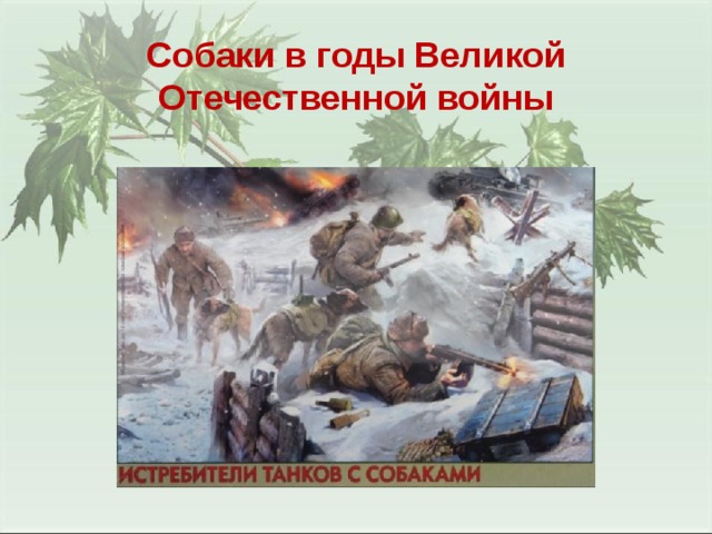 Собаки в годы Великой Отечественной войны 