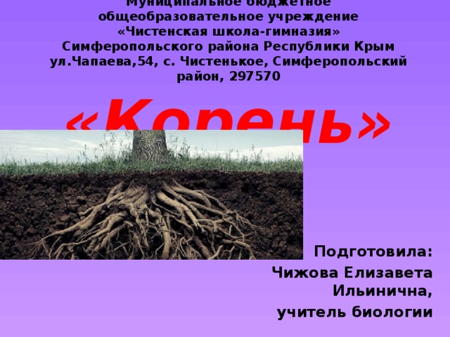 Муниципальное бюджетное общеобразовательное учреждение  «Чистенская школа-гимназия»  Симферопольского района Республики Крым  ул.Чапаева,54, с. Чистенькое, Симферопольский район, 297570  «Корень»    Подготовила: Чижова Елизавета Ильинична, учитель биологии 