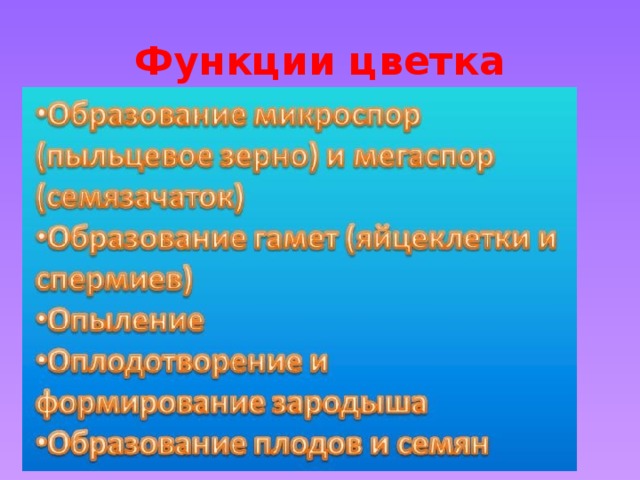 Функции цветка 