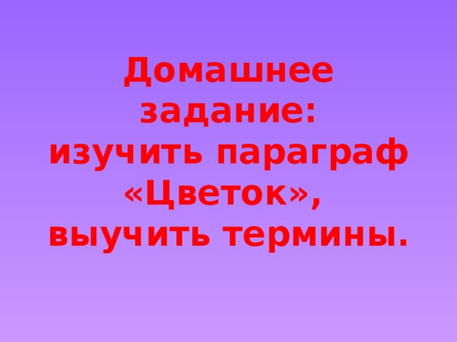 Домашнее задание:  изучить параграф «Цветок»,  выучить термины. 