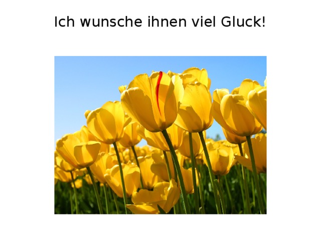 Ich wunsche ihnen viel Gluck!   