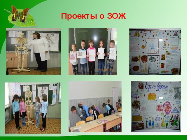Проекты о ЗОЖ 