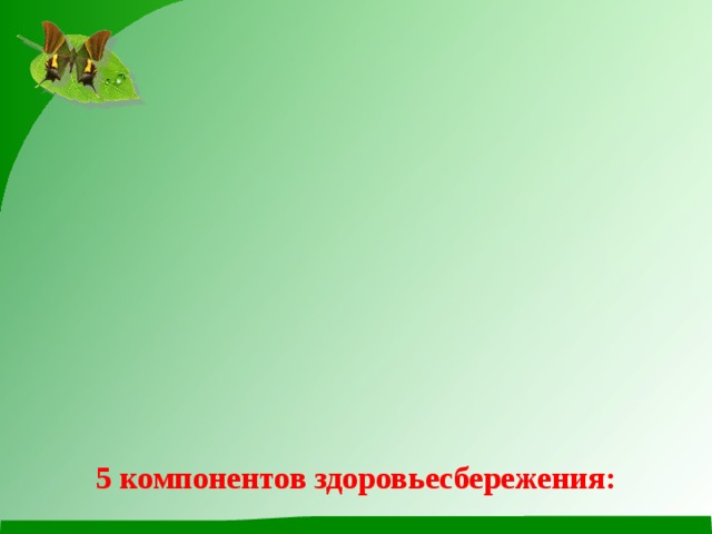          5 компонентов здоровьесбережения:   * Здоровая окружающая среда;  * Рациональное питание;  * Качественное медицинское обслуживание;  * Систематическое распространение знаний о здоровье;  * Взаимодействие школы и социума в вопросах сохранения здоровья.           