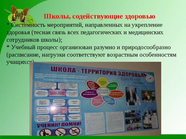   Школы, содействующие здоровью  *  Системность мероприятий, направленных на укрепление здоровья (тесная связь всех педагогических и медицинских сотрудников школы);  * Учебный процесс организован разумно и природосообразно (расписание, нагрузки соответствуют возрастным особенностям учащихся).   