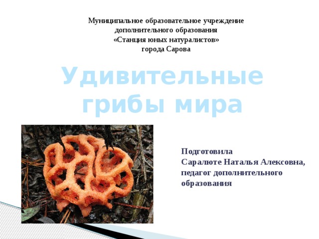 Муниципальное образовательное учреждение дополнительного образования «Станция юных натуралистов» города Сарова Удивительные грибы мира Подготовила Саралюте Наталья Алексовна, педагог дополнительного образования 
