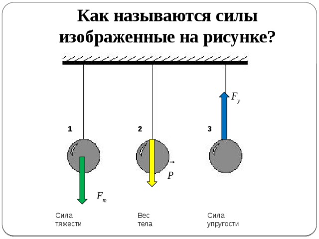 Как называются силы изображенные на рисунке? 1 2 3 Сила тяжести Сила упругости Вес тела 