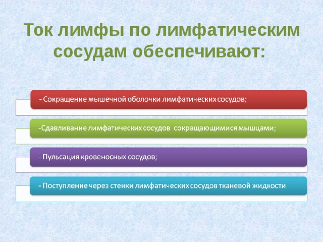 Ток лимфы по лимфатическим сосудам обеспечивают: 