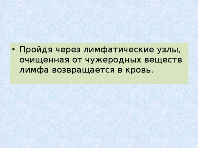 Пройдя через лимфатические узлы, очищенная от чужеродных веществ лимфа возвращается в кровь. 