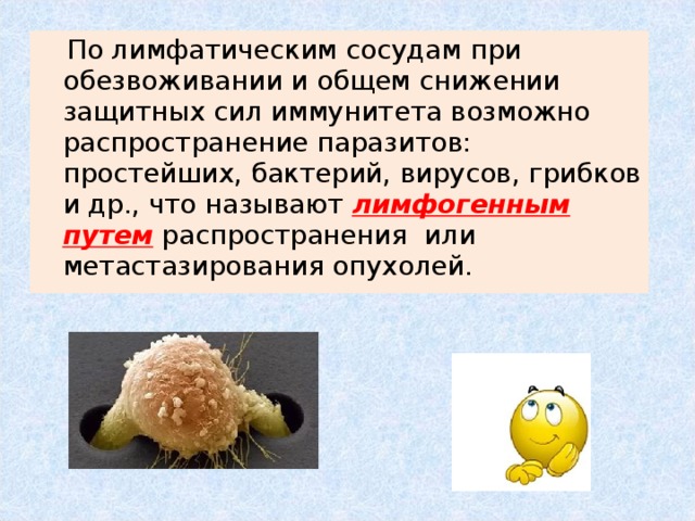  По лимфатическим сосудам при обезвоживании и общем снижении защитных сил иммунитета возможно распространение паразитов: простейших, бактерий, вирусов, грибков и др., что называют лимфогенным путем  распространения или метастазирования опухолей. 