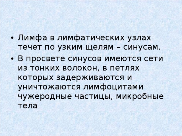 Лимфа в лимфатических узлах течет по узким щелям – синусам. В просвете синусов имеются сети из тонких волокон, в петлях которых задерживаются и уничтожаются лимфоцитами чужеродные частицы, микробные тела 