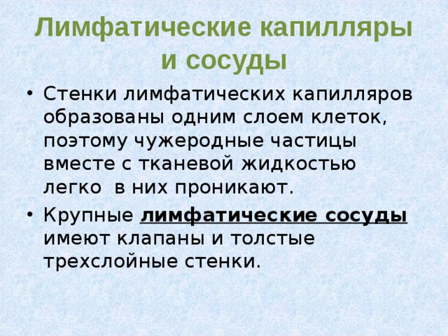 Лимфатические капилляры и сосуды Стенки лимфатических капилляров образованы одним слоем клеток, поэтому чужеродные частицы вместе с тканевой жидкостью легко в них проникают. Крупные лимфатические сосуды имеют клапаны и толстые трехслойные стенки. 