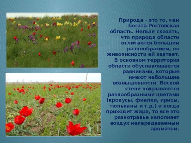 Природа – это то, чем богата Ростовская область. Нельзя сказать, что природа области отличается большим разнообразием, но живописности ей хватает. В основном территория области обуславливается равнинами, которые имеют небольшие возвышенности. Весной степи покрываются разнообразными цветами (крокусы, фиалки, ирисы, тюльпаны и т.д.) и когда приходит жара, то все это разнотравье наполняет воздух непередаваемым ароматом. 