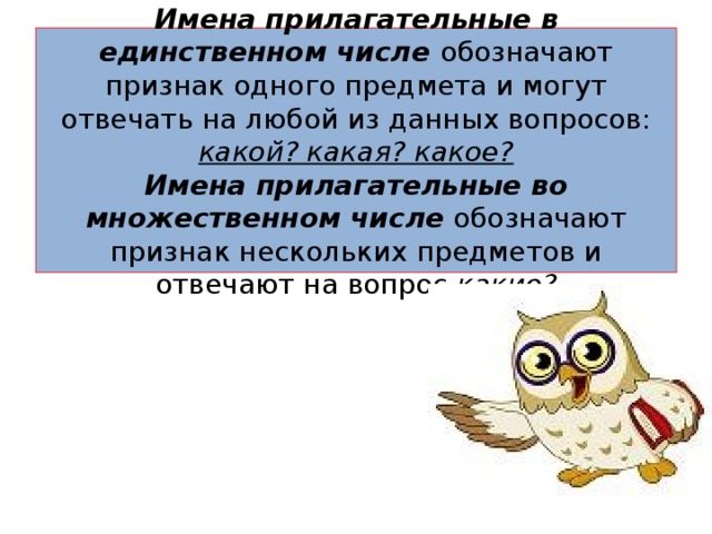 Имена прилагательные в единственном числе обозначают признак одного предмета и могут отвечать на любой из данных вопросов: какой? какая? какое?  Имена прилагательные во множественном числе обозначают признак нескольких предметов и отвечают на вопрос какие? 