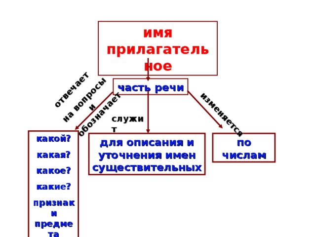 отвечает на вопросы и обозначает изменяется имя прилагательное часть речи служит какой? какая? какое? какие? признаки предмета  для описания и уточнения имен существительных по числам 