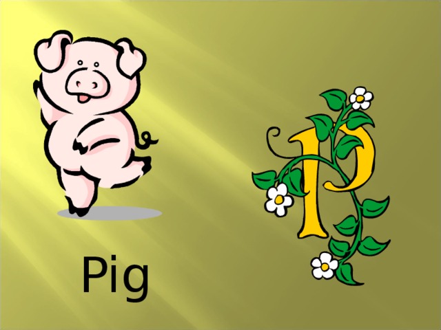Pig 