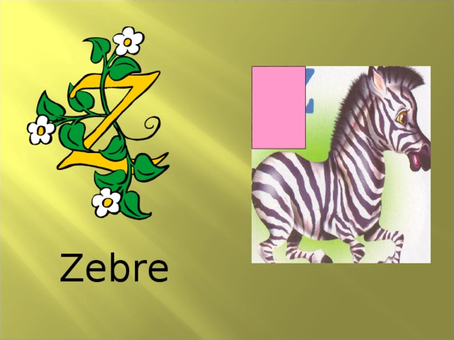 Zebre 